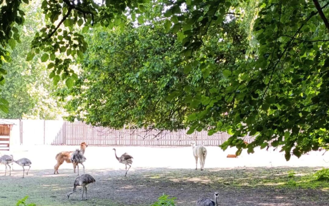 Integrirani dan u Zoološkom vrtu Osijek