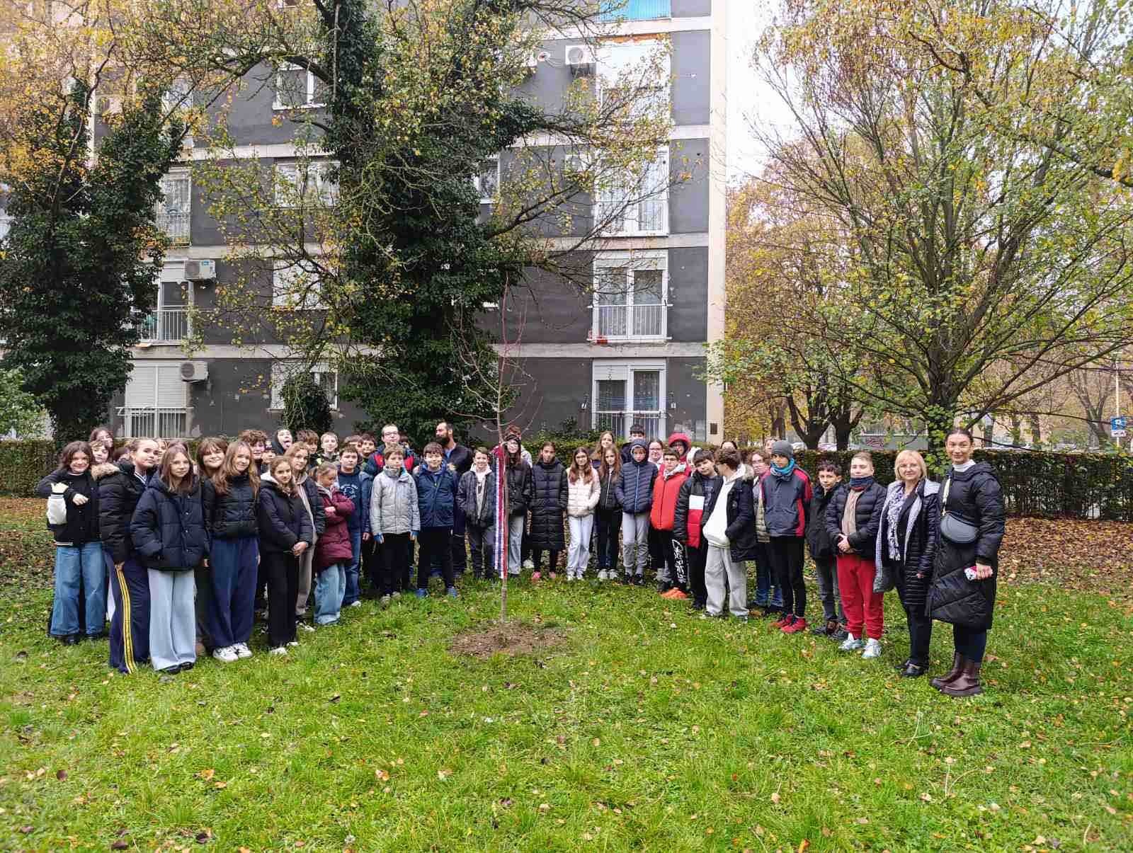 viber_slika_2025-11-14_09-38-27-682